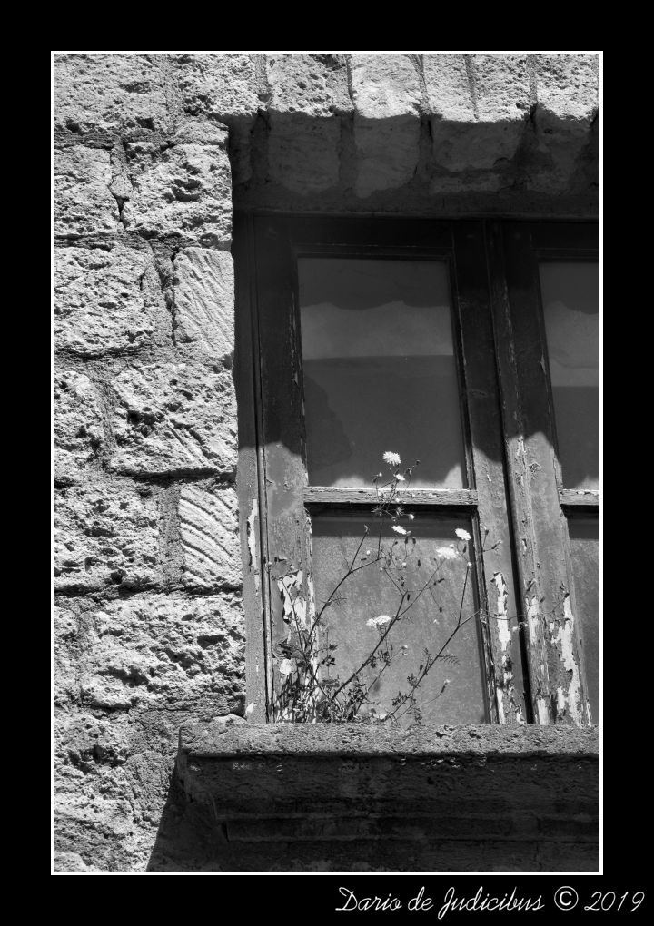 Window #09