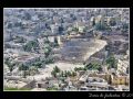 Jerash #06