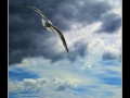 Seagull #01 Seagull #01
