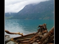 Log on fjord
