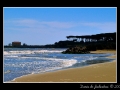 Beach and pinasters