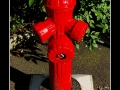 Fireplug