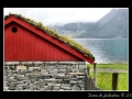 Back of the shed on fjord