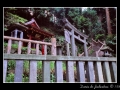 Japanese garden #02