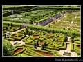 Labyrinth