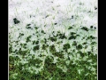 Grass and snow