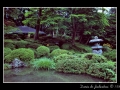 Japanese garden #01