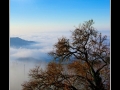 Fog on lake
