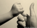 Contact Contact