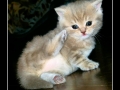You talkin' to me?