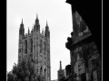 Cathedral #09