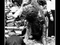 Wildboar Wildboar