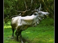Elk sculpture