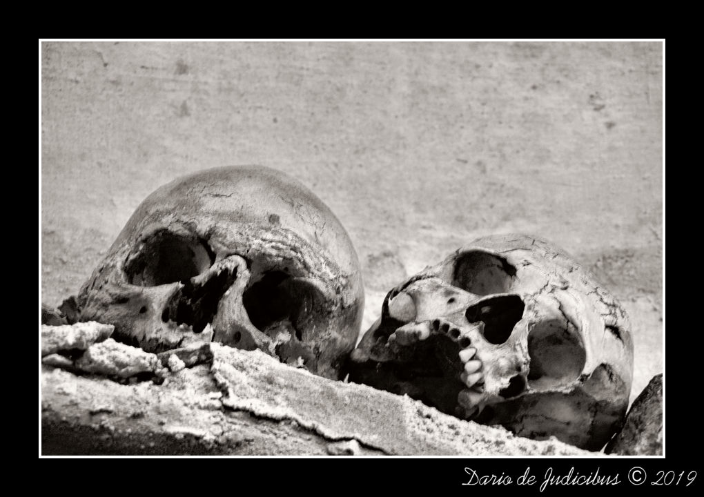 Skulls #01