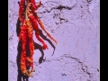 Red chillies Red chillies