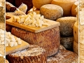 Cheese #01 Cheese #01