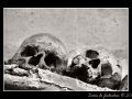 Skulls #01
