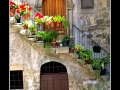 Stairs with flowers