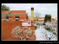 Snow-clad orange howse